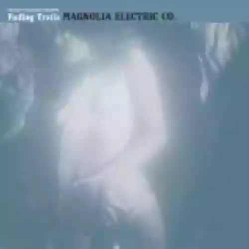 Cover Magnolia Electric Co. - Fading Trails