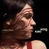 Kaki King: …Until We Felt Red