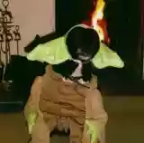 Mogwai: Travel Is Dangerous