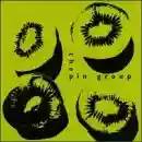 The Pin Group: Retrospective
