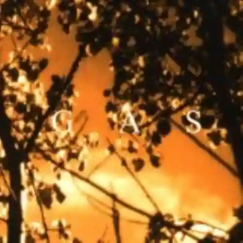 Cover Gas - Königsforst