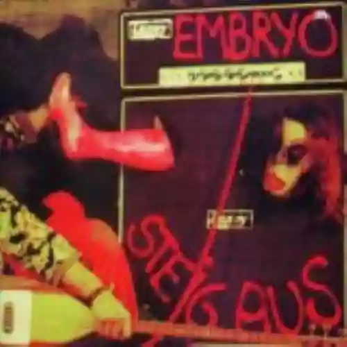 Cover di Steig Aus