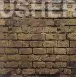 Peter Hammill: The Fall of the House of Usher