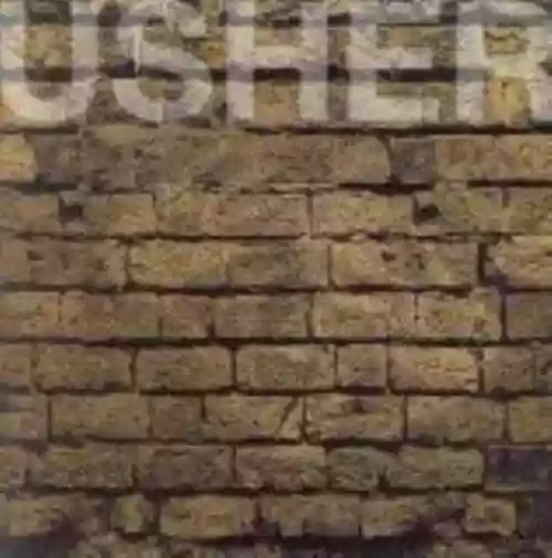 Cover di The Fall of the House of Usher
