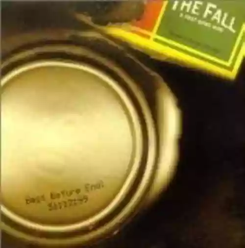 Cover The Fall - A Past Gone Mad