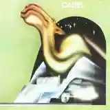 Camel: Camel