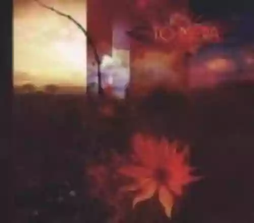 Cover di Transcendental