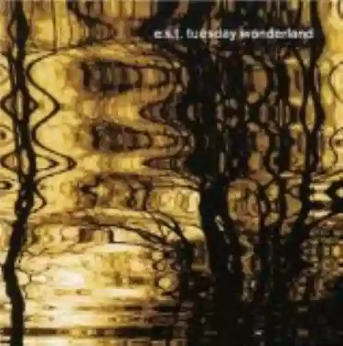 Cover Esbjörn Svensson Trio - Tuesday Wonderland