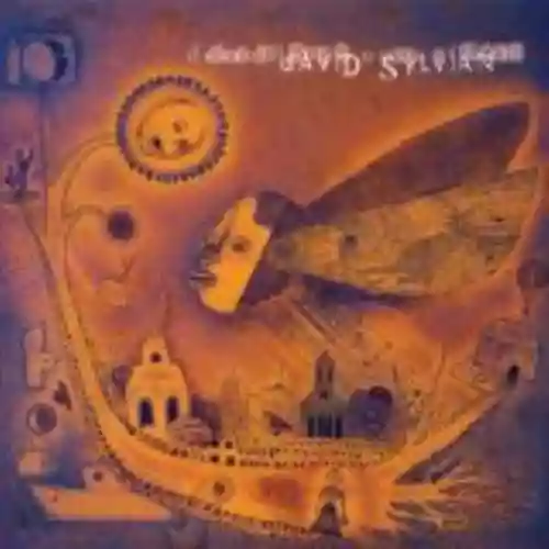 Cover di Dead Bees on a Cake