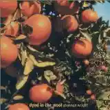 Cover di Dyed in the Wool