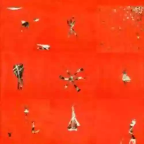 Cover Animal Collective - Hollinndagain