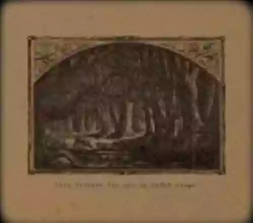 Cover Boduf Songs - Lion Devours the Sun
