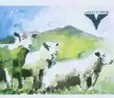 Laibach: Volk