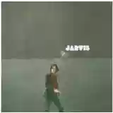 Jarvis Cocker: The Jarvis Cocker Record