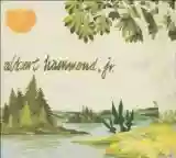 Albert Hammond, Jr.: Yours to Keep