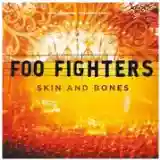 Foo Fighters: Skin and Bones