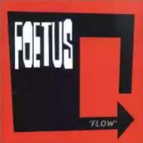 Cover di Flow