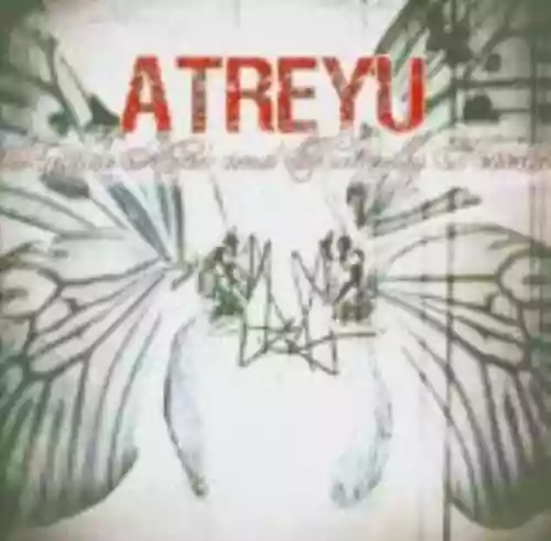 Cover di Suicide Notes and Butterfly Kisses