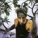 Cover di Di sana pianta
