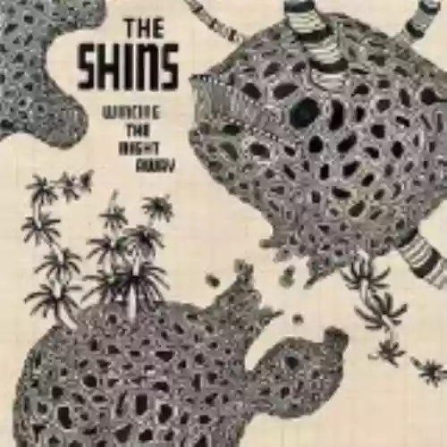Cover The Shins - Wincing the Night Away