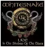 Cover di Live in the Shadow of the Blues