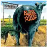 Blink-182: Dude Ranch