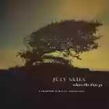 July Skies: Where the Days Go