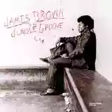James Brown: In the Jungle Groove