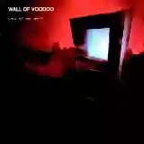 Wall Of Voodoo: Call Of The West