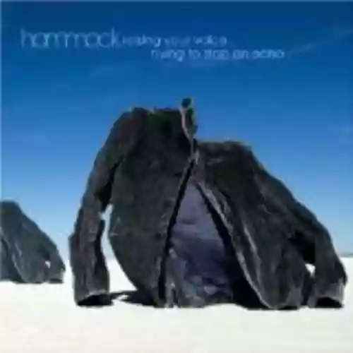 Cover di Raising Your Voice... Trying to Stop an Echo