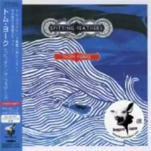 Cover di Spitting Feathers