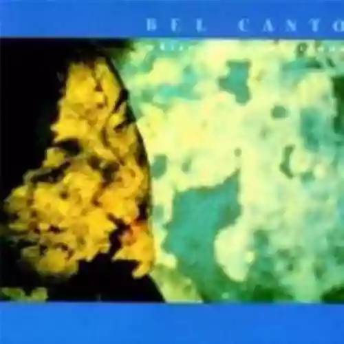 Cover di White-Out Conditions