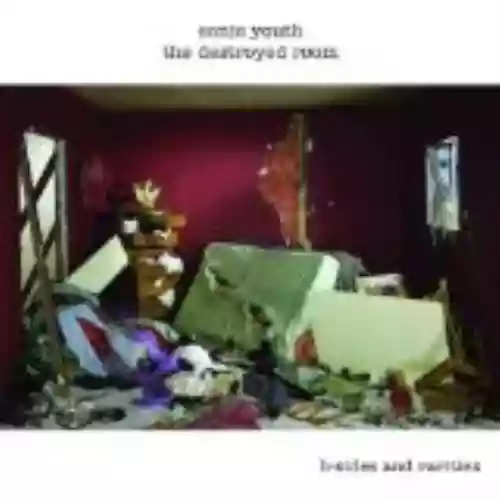 Cover di The Destroyed Room: B-Sides and Rarities