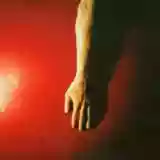 Low: Trust