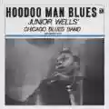 <b>Junior Wells' Chicago Blues Band</b> • Hoodoo Man Blues