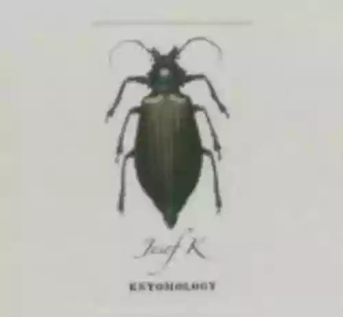 Cover Josef K - Entomology