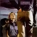 Scorpions: Animal Magnetism