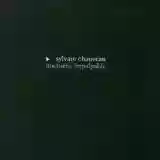 Sylvain Chauveau: Nocturne Impalpable