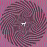 Deerhunter: Cryptograms