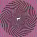 <b>Deerhunter</b> • Cryptograms