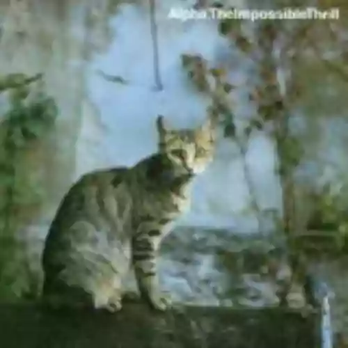 Cover di The Impossible Thrill
