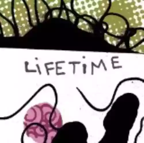 Cover Lifetime - Lifetime