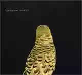 Andrew Bird: Armchair Apocrypha