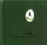 Múm: Finally We Are No One