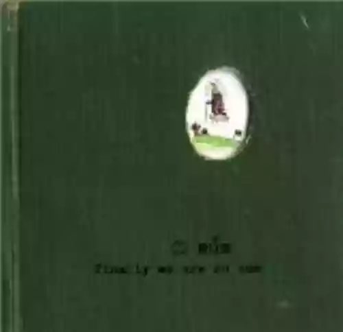 Cover múm - Finally We Are No One