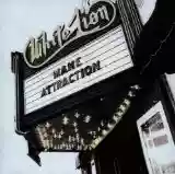 White Lion: Mane Attraction