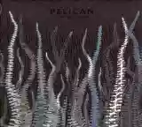 Pelican: City Of Echoes