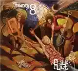 Cover di The Meaning of 8