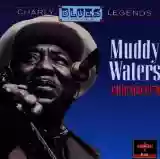 Muddy Waters: Chicago 1979