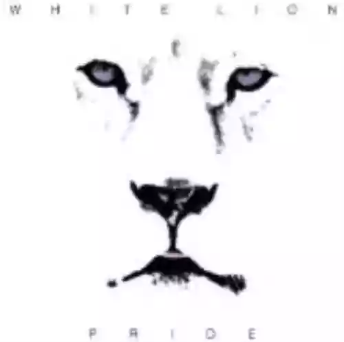 Cover di Pride